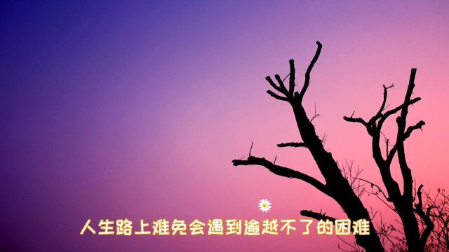 #新闻哥每日精选#越努力越幸运,一起勉励