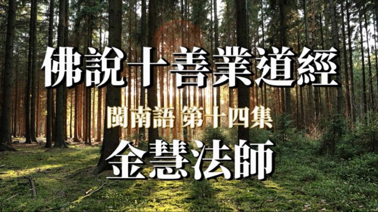 金慧法師佛說十善業道經丨閩南語丨第14集