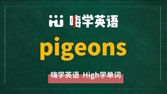 一分钟一词汇,小学、初中、高中英语单词五点讲解,单词pigeons讲解