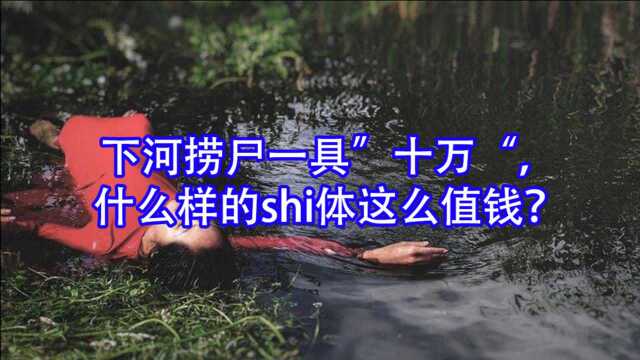 【内含高能四】下河捞尸一具”十万“,什么样的shi体这么值钱?