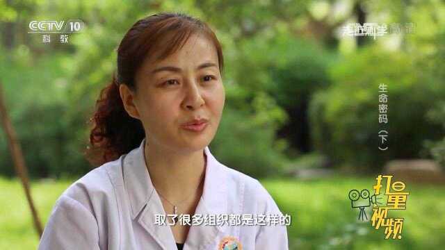 什么是DNA高通量测序,它的科学原理是什么?涨知识