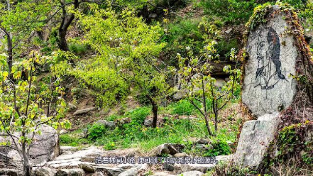 打卡圣地响水湖 五一可以带着全家去赏花爬长城