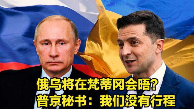 泽连斯基语出惊人,俄乌将在梵蒂冈会晤?普京秘书:我们没有行程