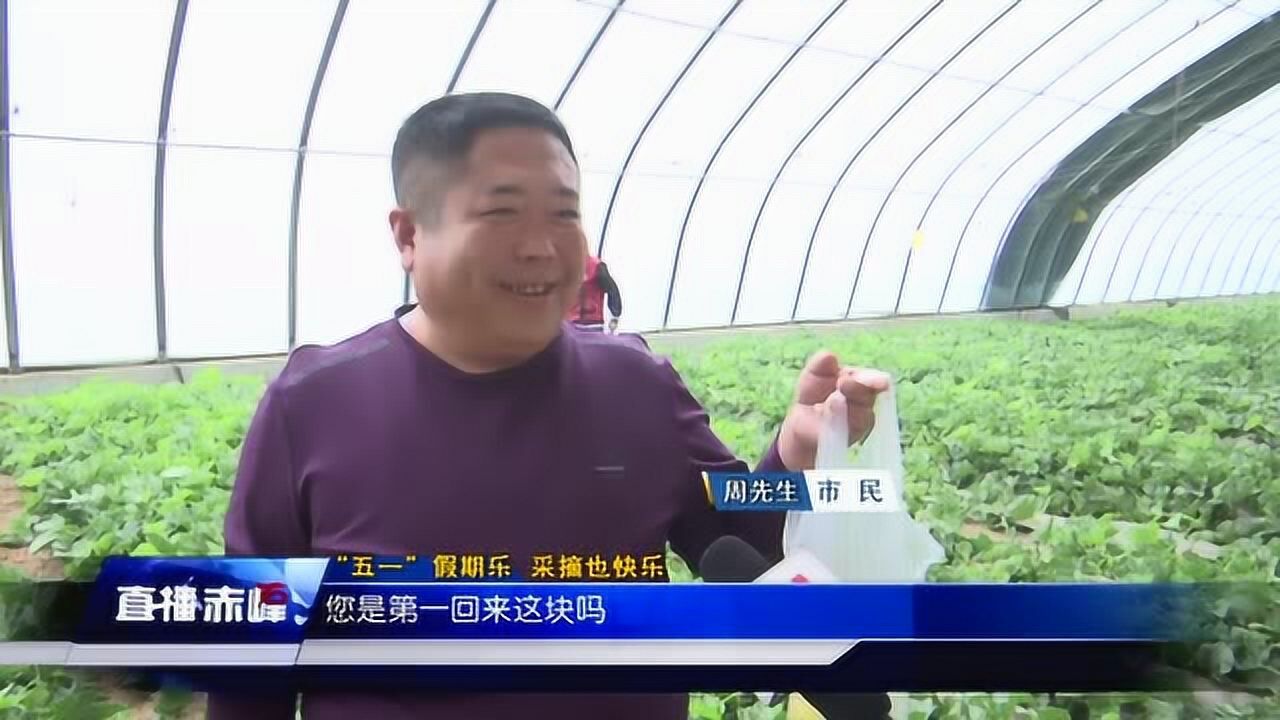 五一特别节目吃瓜群众看过来_腾讯视频