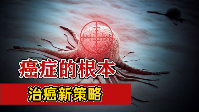 癌症治疗新策略?来自细菌的蛋白酶,能降解癌蛋白,提高存活率?