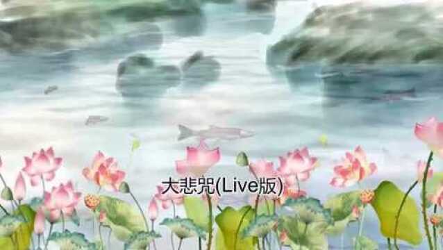 菲儿大悲咒(Live版)