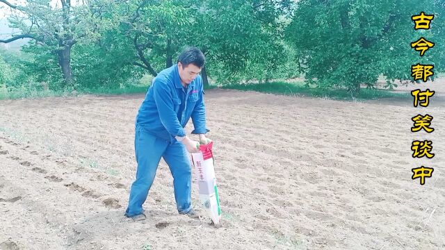 播种玉米神器,一人一天5亩地,省时又省力,看看怎么操作的吧?