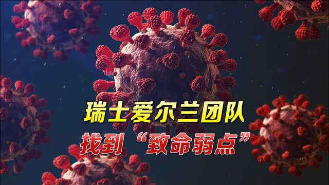 新冠病毒致命弱点找到!最新研究令全球炸锅,果然要靠mRNA疫苗