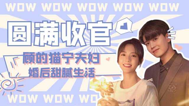 《乌鸦小姐》圆满收官:顾的猫宁夫妇婚后甜宠生活#《乌鸦小姐与蜥蜴先生》短视频大赛#