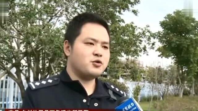 淘宝客服沉迷网络赌博,盗取前东家四百万资金挥霍一空