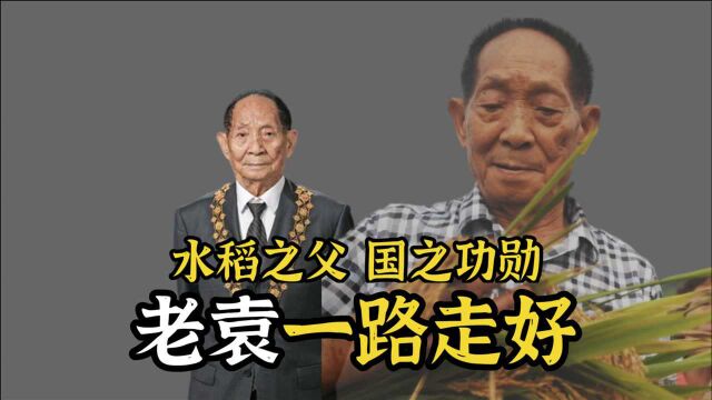 “水稻之父”袁隆平:一人撑起整个民众生活,国之功勋可载入史册