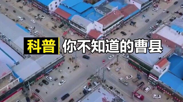 默默征服日本惊艳众人!为了成为宇宙中心,曹县酝酿了多久?