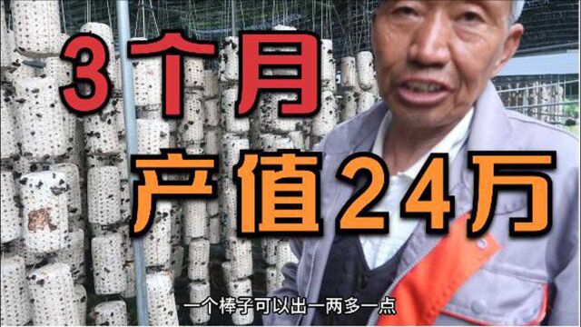 大山里2021最新产业,6万袋子,3个月产值24万