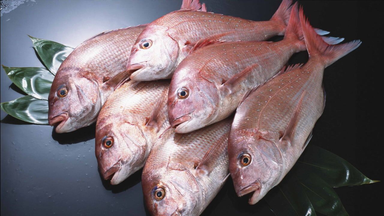 红立鱼这样做,鲜香又鲜甜_腾讯视频