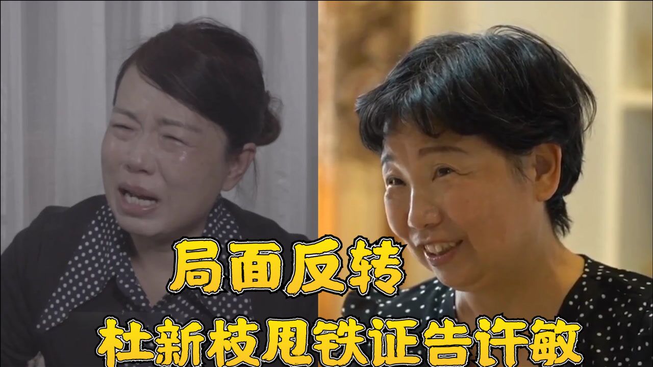杜新枝甩铁证反咬许敏恶意偷换,背后势力强强相助