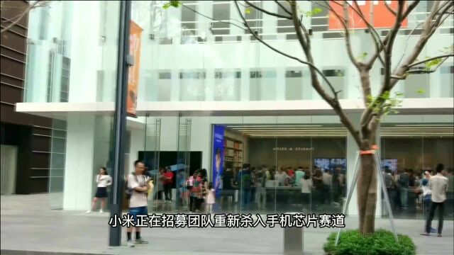 小米重组团队做手机芯片 从此不再受制于人