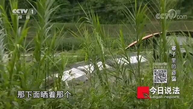 短短时间积累半山财富,年轻首富带动亲友“共同致富”