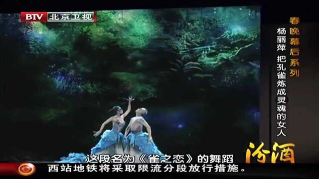 2012年除夕,杨丽萍舞蹈《雀之恋》登上荧幕,惊艳了许多观众