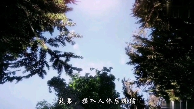 【斗罗大陆】唐门十二大神器排行榜1:孔雀翎仅排第八,飞天神爪老末!