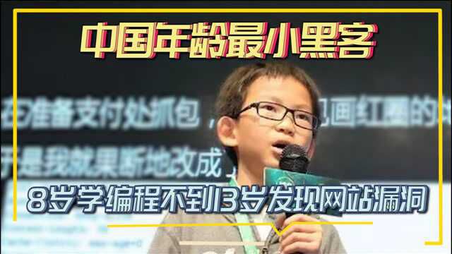 中国年龄最小黑客,8岁学编程不到13岁发现网站漏洞,如今怎样?