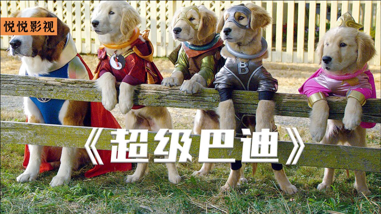 科幻电影超狗巴迪五只小金毛意外获得超能力