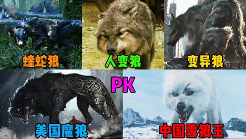 这五部电影中的巨狼，你觉得哪国的更厉害，美国魔狼PK中国雪狼#电影种草指南短视频大赛#