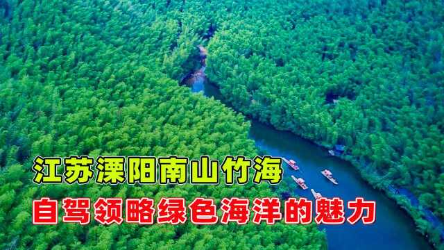 江苏溧阳南山竹海,宛如绿色仙境,自驾走进风景如画的风雅之地