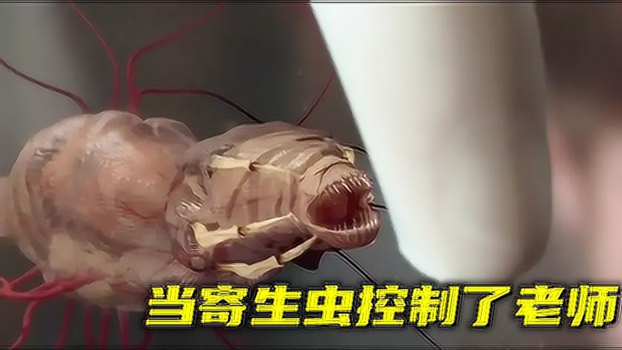 3分钟看美国经典恐怖电影虫子寄生在老师体内学生研制药粉对抗