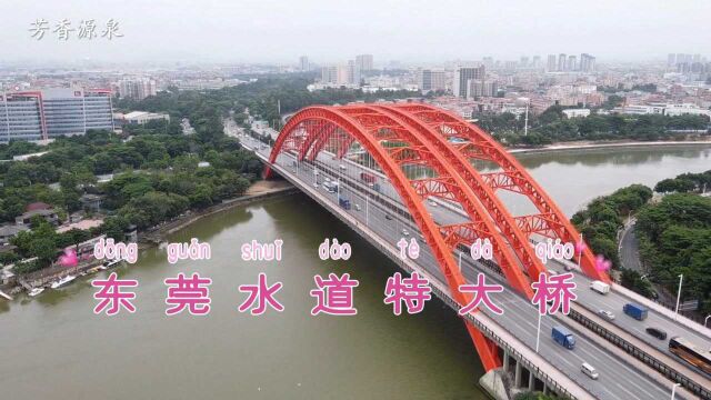 航拍:东莞水道特大桥,广东东莞市