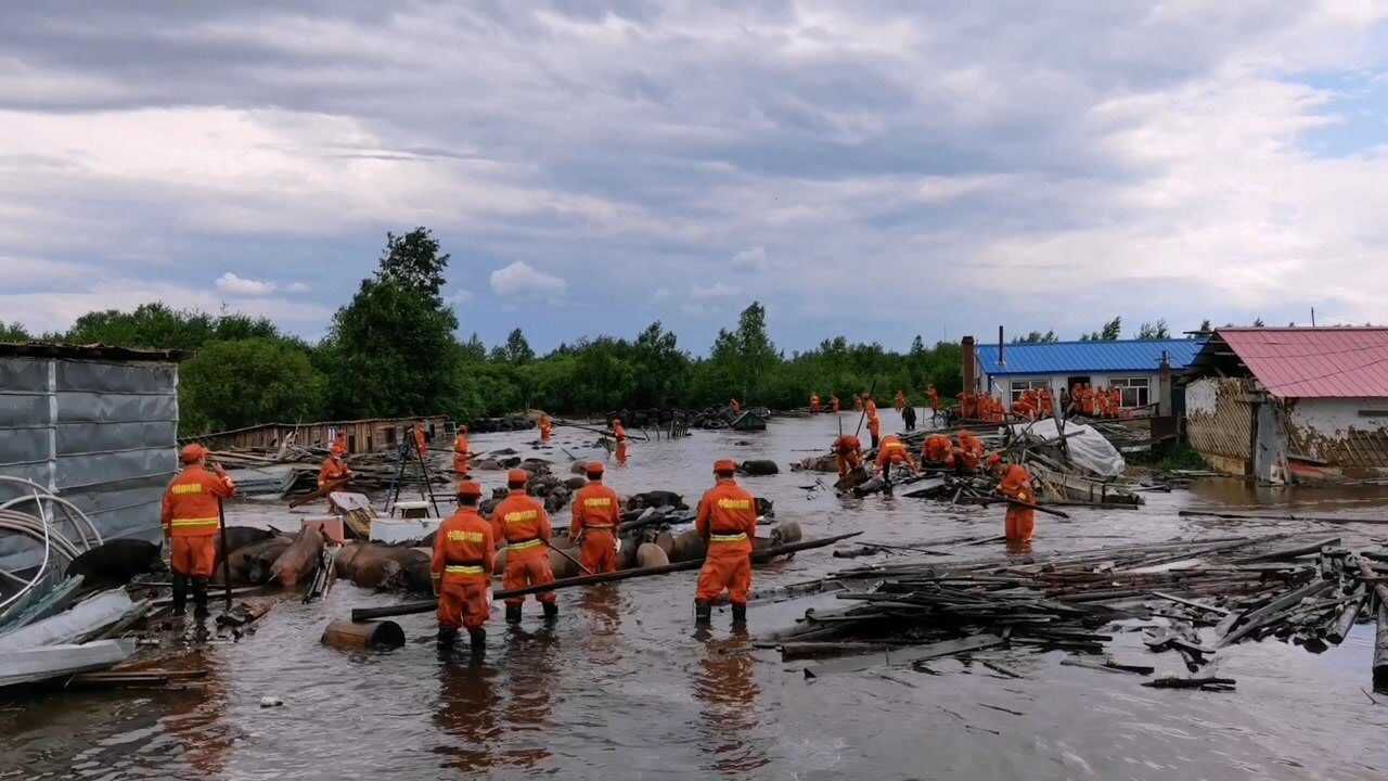 大水淹没养猪场300头生猪水中奔跑漠河市森林消防大队紧急救援