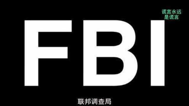 美丽的FBI谎言与混乱的美国式民主