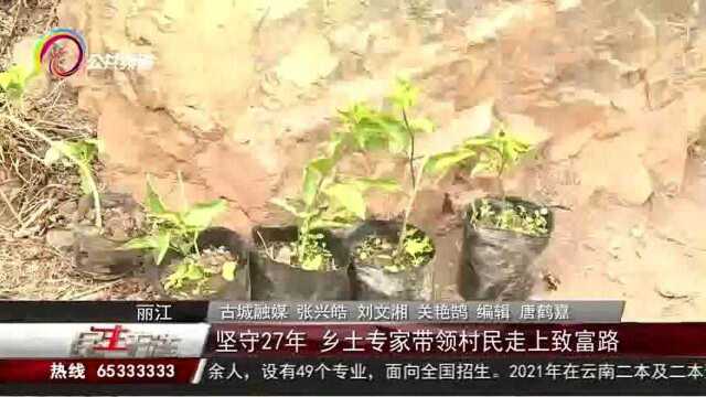 坚守27年,乡土专家带领村民走上致富路