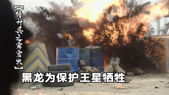 特种兵之霹雳火第45集:王星不顾危险去袭击敌人,黑龙为了保护他,结果牺牲了