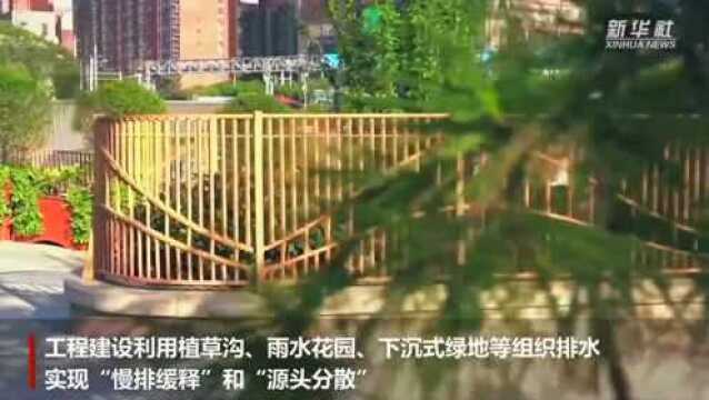 西安幸福林带面向公众开放