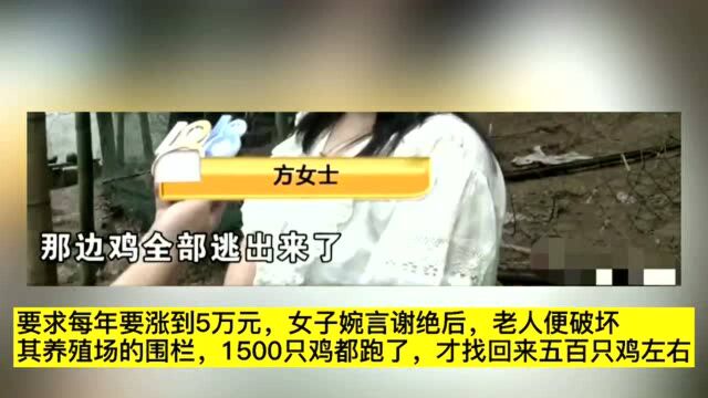 “涨租!”房东眼红养殖场赚钱,欲涨7倍房租被拒绝后放走了1500只鸡