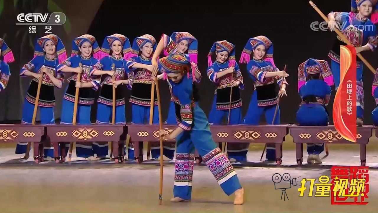 舞蹈田埂上的歌欢快愉悦展现出了独特的农耕文化