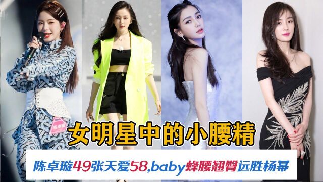 女明星中的小腰精,陈卓璇49张天爱58,baby蜂腰翘臀远胜杨幂