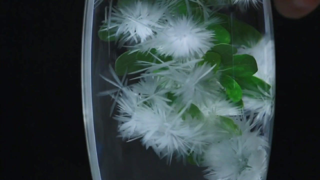 水是怎么结冰的,7个有趣的小实验这是魔法?_腾讯视频