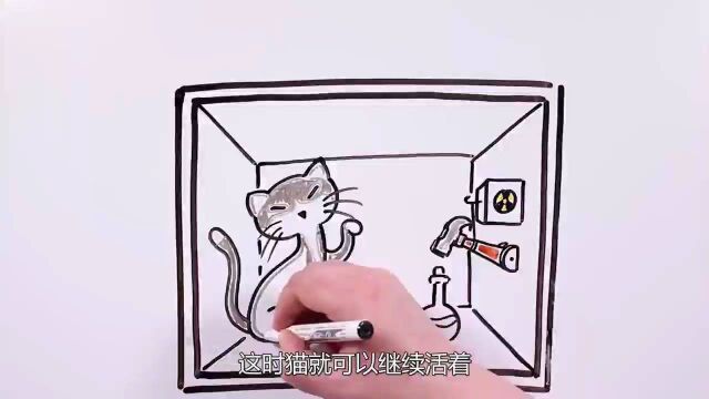 薛定谔的猫,究竟是什么?它到底蕴含着什么秘密?