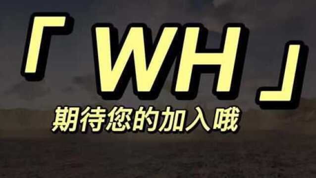 林生斌代言,WH联盟帮助“网黑”重返社会,期待您的加入哦,亲