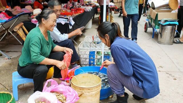 逛山里大集市,买到野生活鲫鱼,1元1斤太实惠,这样做比大鱼好吃