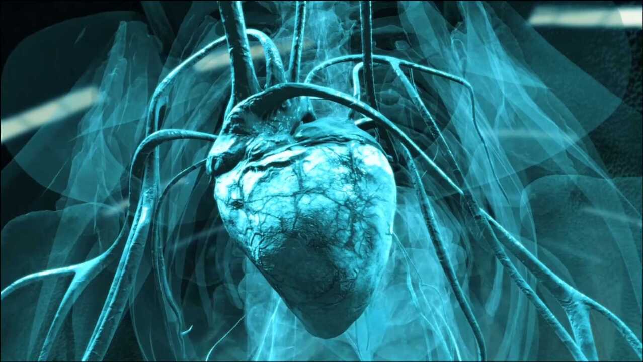 近亿年前的百吨巨龙阿根廷龙是怎样的画风?科学重现巨龙的心脏!