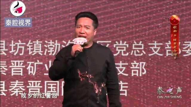 歌曲《故乡是合阳》,戏曲研究院梅花奖赵扬武演唱,情真意切!