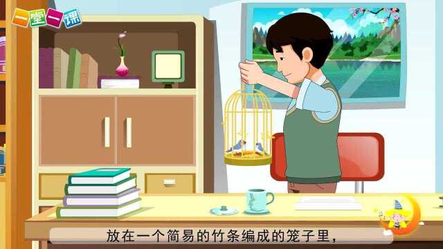 五年级上册《珍珠鸟》小学语文同步精品课文动画,预习教辅视频,学习好帮手!(一堂一课APP出品)