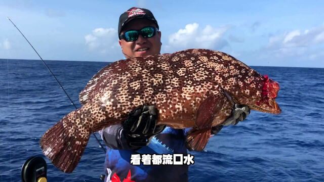 海钓能钓到哪些奇葩鱼?黄金海鳗、罕见的老鼠斑,能卖个好价钱!