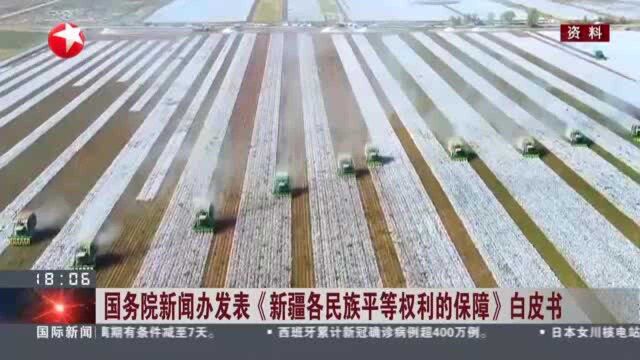 国务院新闻办发表《新疆各民族平等权利的保障》白皮书