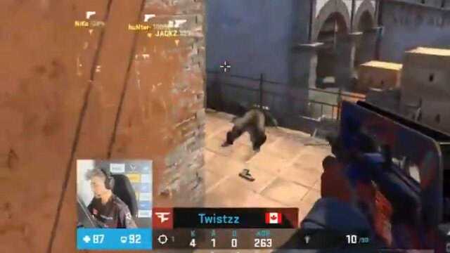 CSGOTwistzz总监的洗头服务