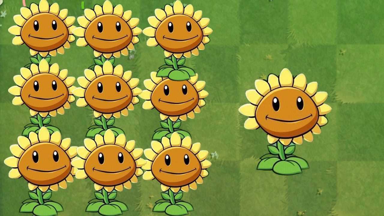 植物大战僵尸:向日葵,你都了解它多少?