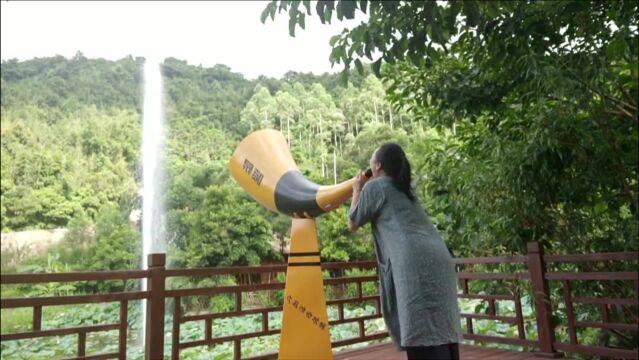 二姐带你们去旅游啦,钦州浦北石祖田园,第一次自己持机拍摄