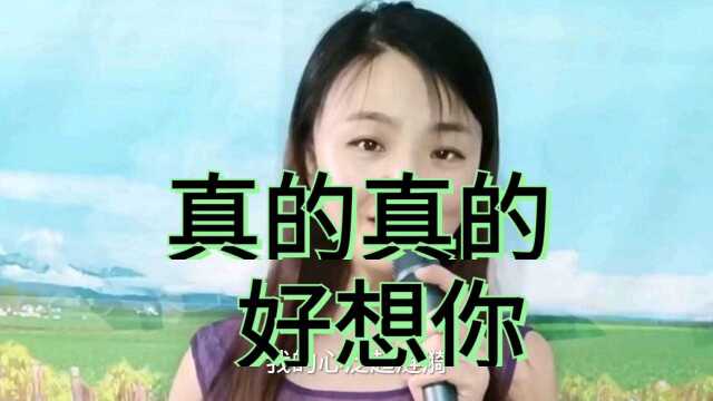 一首深情的歌《真的真的好想你》,歌声优美,动人心扉